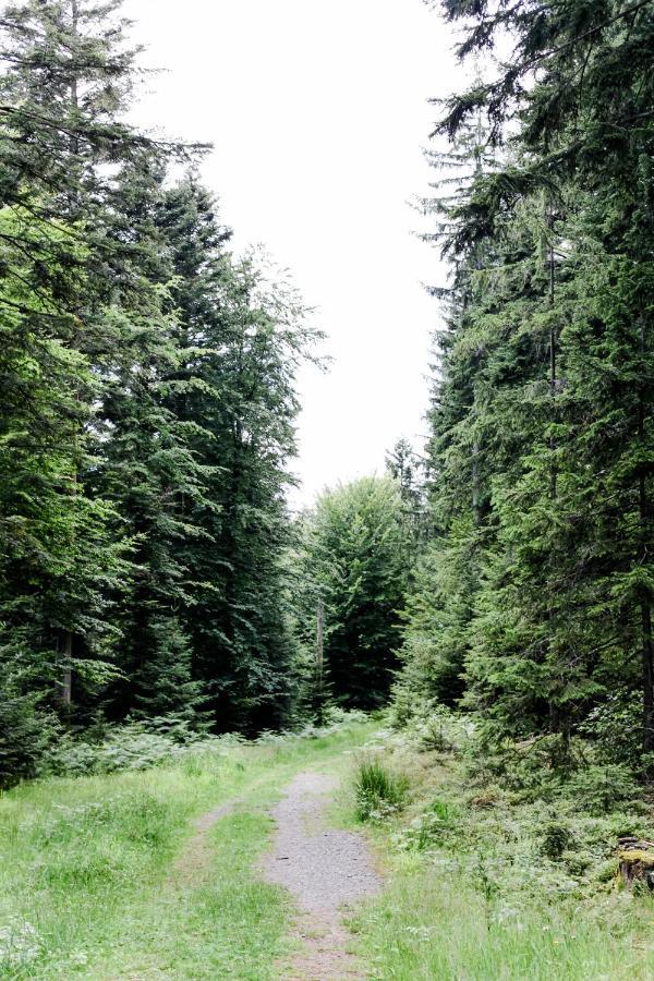 4-Zimmer-Ferienwohnung Waldbluemle Добель Экстерьер фото