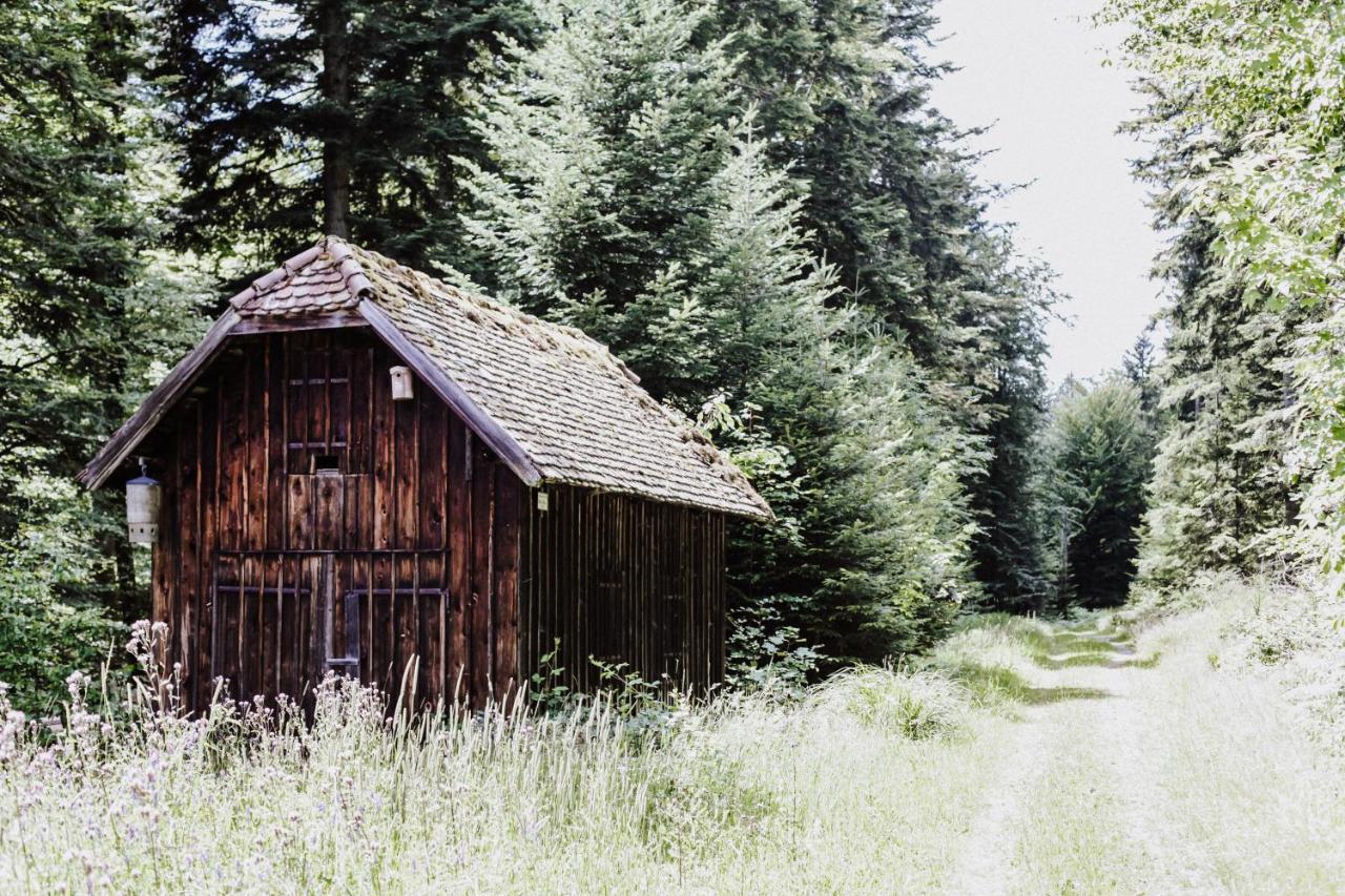 4-Zimmer-Ferienwohnung Waldbluemle Добель Экстерьер фото